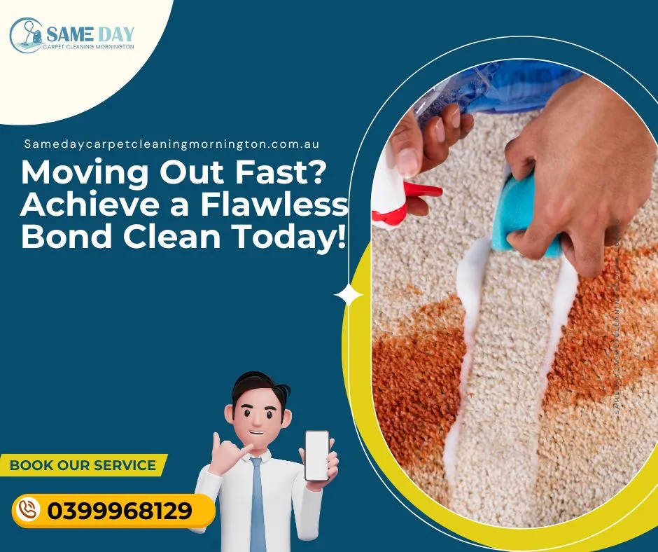 Same Day Carpet Cleaning